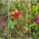 감성목장 이미지