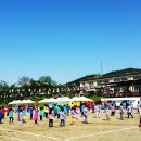 관창초등학교 | 관창초등학교 체육대회 재밋었던 후기 !