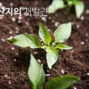 현대청정푸드