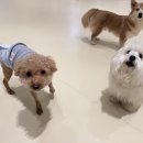 견생낙원 이미지