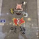 돈막창 이미지
