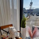 카페토브 - 구로구 | [부산기장군]일광해수욕장 근처 카페 일광학리카페토브 내돈내산 후기