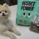 펫스미스 이미지