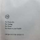 그리니웨일