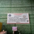 삼닭농장 네이버블로그