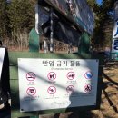 흔들목장 | 강원도여행 한국의 알프스 대관령 양떼목장 방문!