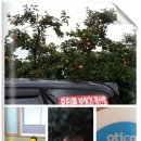 신명보청기 이미지