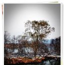 장미별장 이미지