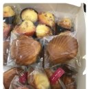 아진동물병원 이미지