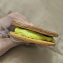 스끄젬므 이미지