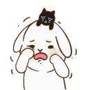 안산무지개연합의원 이미지