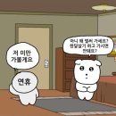 💐🌿일상기록_랜덤사진털기🐶│망원동 귀여운 소품샵 투어, 한강공원 와이키키마켓 바베큐 1F 한강뷰...
