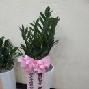 [감사의 선물] 만촌동 맑은두 대현 한의원 도경준 원장님께서 화환을 보내주셨습니다.