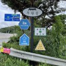 디엔유 | 울산대공원 카페 / 두왕동 카페 : 조용한 한옥카페 DNU(디엔유) 본점
