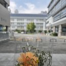 대구교육연수원 분임토의실 | 25년 대구 교행 연수원 후기 (21기)