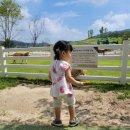 명암목장 이미지