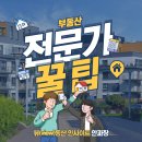 올리브영 앞 횡단보도 이미지