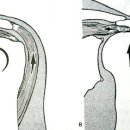 라임나무한의원 이미지
