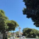 애드마운틴 | 🌴제주 신라호텔 아이랑 프리미어 트윈 마운틴뷰 후기