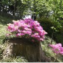 한울소리 이미지