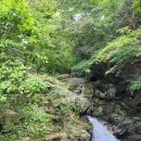 토옥동 송어 횟집 이미지