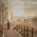 세아정