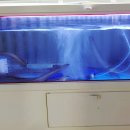 주정차062 이미지