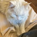 좌수영로 R 이미지