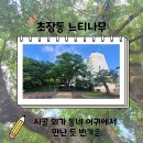 어귀