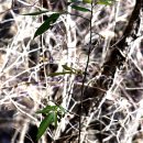 개산초등학교 이미지