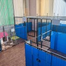 엘제이펫 이미지