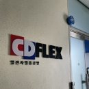 열전사공방 CDFLE에서 23개월아가랑 커스텀 티셔츠 만들기 체험 후기!😄