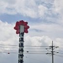 원선농장 이미지