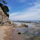 도니조아 이미지