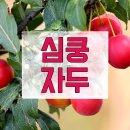 언양전자담배 이미지