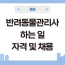 쉐이크테일 강아지 애견 유치원 호텔 미용 | 반려동물관리사 채용 하는 일 자격 급여 월급 취업분야