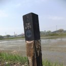 크린데이 이미지