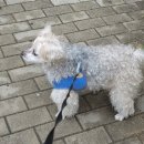 산책하는날 이미지