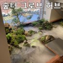 그로브라운지 | [서울/망원동] 숲터 그로브 허브 망원: 망리단길 이색...컨셉 카페 내돈내산 솔직후기 (원데이클래스...
