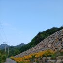 합천 둥굴게카페/서정홍시인님 농장/서정홍시인 집방문/새싹존크린센터/위대한경영자 졸업 선후배모임