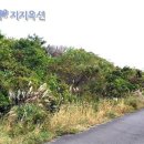 현 목장 이미지