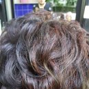 다모헤어 - 성북구 | 다모헤어