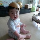 승운농장 Daum카페