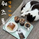 남한강마트서종점 | [경기 양평] 서종 카페 쉐즈롤, 블루리본 롤케이크 맛집, 평화로운 테라스와 더 평화로운 고양이들...
