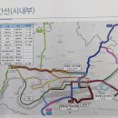 단원로(평화동,태화동) 이미지