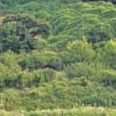 고미마을회관 이미지