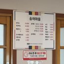 [내돈내산] 원주 가볼만한곳 / 원주 당일치기 (뮤지엄산, 송어마을)