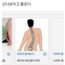 [호평동 PT] 우리동네운동박사 : 척추측만증 교정운동 후기