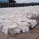 세종메디텍 이미지