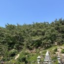대서축산 이미지
